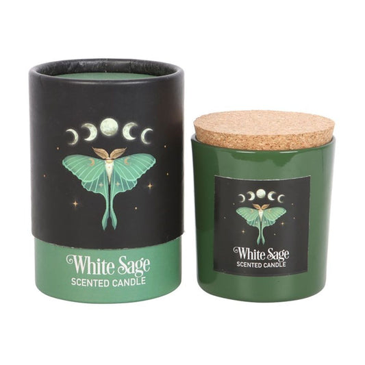 Luna Moth White Sage Candle - Beautygiftsonline 